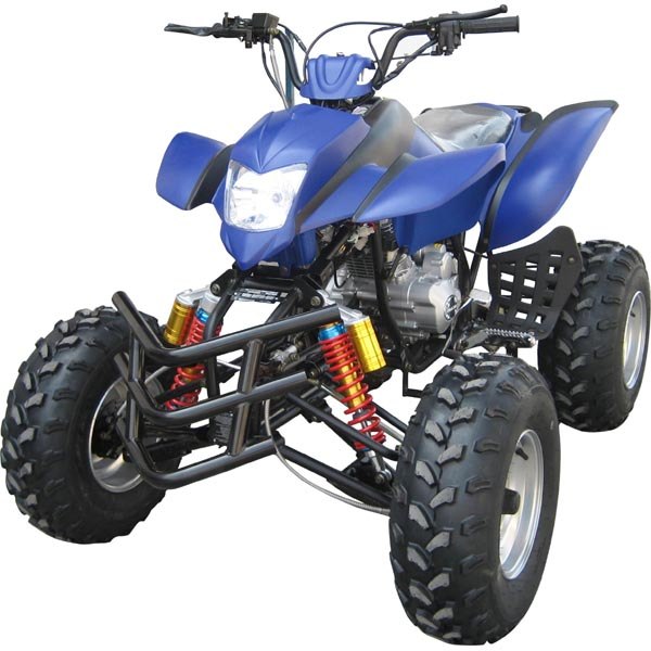 Wiring Diagram PDF: 110 Panther Quad Wiring Diagram Xl